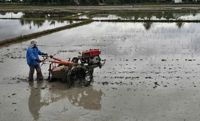 Trước khi gieo sạ, các địa phương tiến hành cày bừa, làm đất rất kỹ. Ảnh: KS.