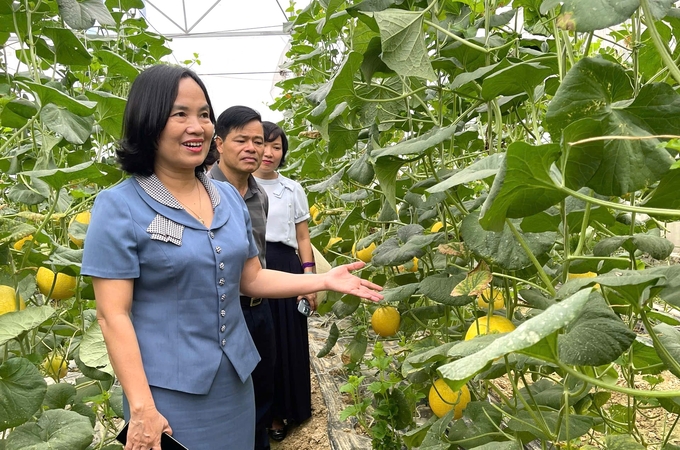 Nhiều mô hình kinh tế tuần hoàn đạt kết quả cao trên địa bàn Nghệ An. Ảnh: TL.