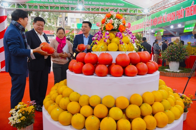 Ông Nguyễn Mạnh Phương - Phó Giám đốc Sở NN-PTNT Hà Nội (thứ hai từ trái sang) thăm gian hàng trưng bày. Ảnh: Dương Đình Tường.