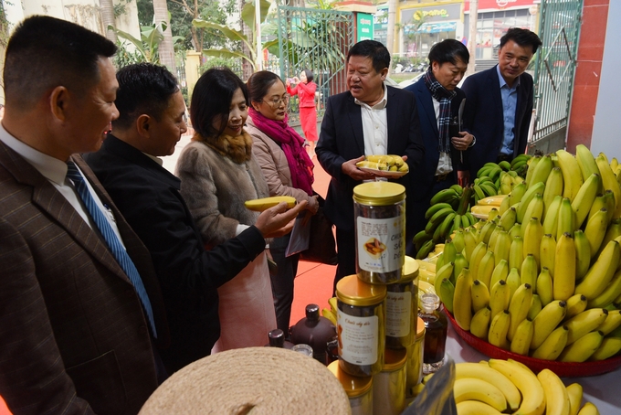 Chuối là một trong những hoa quả chủ lực của Hà Nội. Ảnh: Dương Đình Tường.