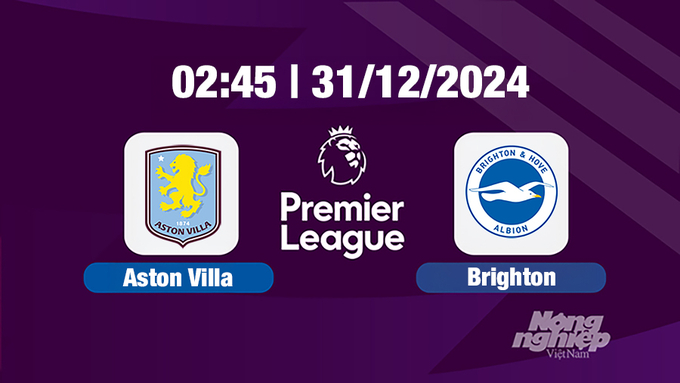 Trực tiếp bóng đá Aston Villa vs Brighton, Ngoại hạng Anh, 02h45 hôm nay 31/12/2024