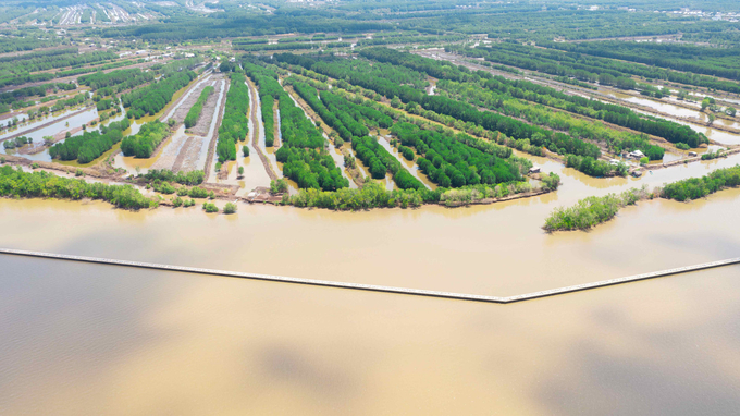 AFD-funded mangrove rehabilitation project in Ca Mau. Photo: AFD.