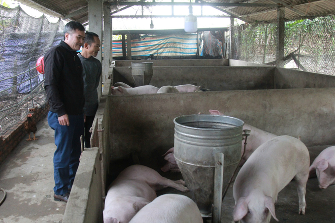 Chất thải trong chăn nuôi được thu gom vào hầm biogas để xử lí làm chất đốt và phân bón hữu cơ. Ảnh: Thanh Tiến.