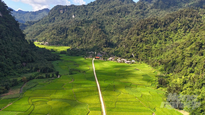 Cánh đồng thôn Bản Biến, xã Phúc Sơn. Ảnh: Đào Thanh.