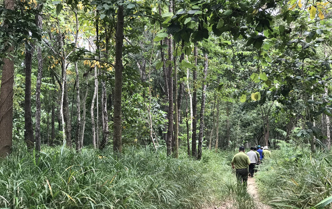 Nhờ chi trả dịch vụ môi trường rừng đưa tới tay người dân, góp phần tích cực trong quản lý bảo vệ rừng. Ảnh: KS.