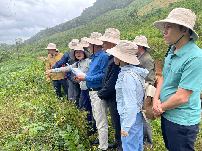 Đoàn công tác tỉnh Quảng Trị khảo sát vùng trồng lúa tại cụm bản Chiêng Túp. Ảnh: Phan Việt Toàn.