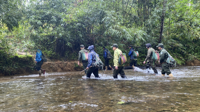 Lực lượng chức năng di chuyển đến nơi tái thả nhóm tê tê. Ảnh: CPNP.