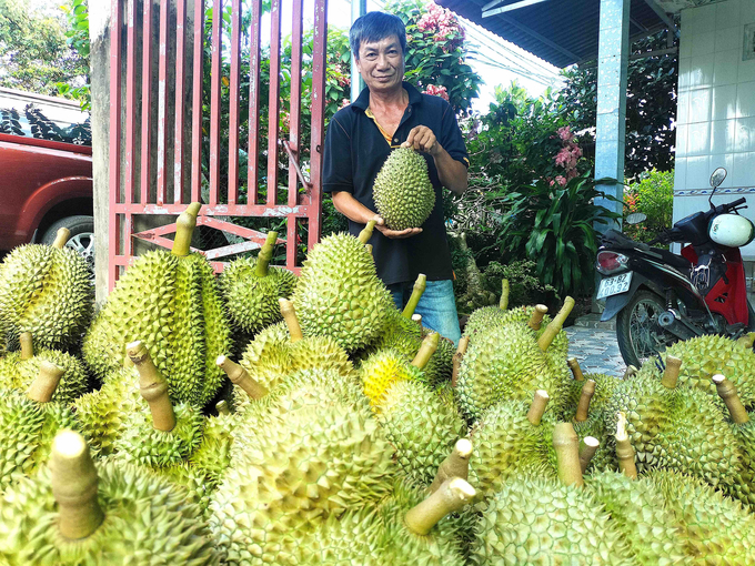 Tăng trưởng khu vực nông, lâm, thủy sản của Tiền Giang năm 2024 đạt 4%, đóng góp 1,42% vào tăng trưởng chung của tỉnh. Ảnh: Minh Đảm.