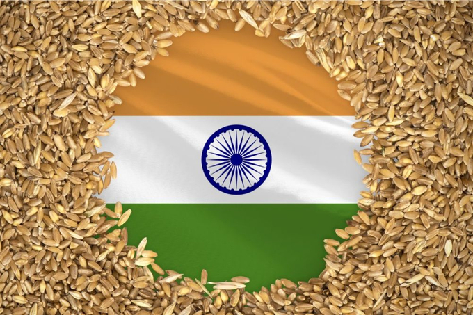 India, which is the world’s second largest producer of wheat and rice, needs more modern grain storage facilities to reduce post-harvest waste, the government said.