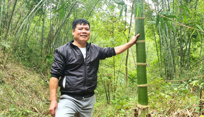 Trưởng bản Vi Văn Minh khẳng định nhờ trồng mét, đời sống của dân bản đã khấm khá. Ảnh: Việt Khánh.