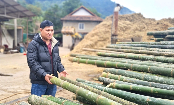 Anh Cao Anh Khoa góp phần nâng tầm vị thế của cây mét tại đất Tương Dương. Ảnh: Việt Khánh.