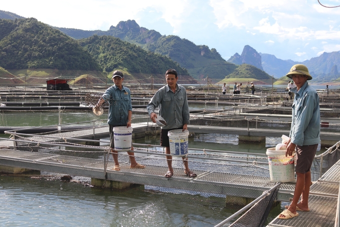 Để phát triển bền vững cần phải xây dựng nhãn hiệu, từ đó mới có nguồn đầu ra ổn định. Ảnh: VT.