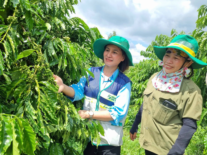 Hoạt động khuyến nông giờ đây không đơn thuần là chuyển giao kỹ thuật mà còn góp phần quan trọng vào xây dựng nông thôn mới.