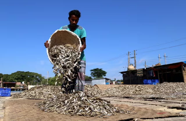 From farm to plate, fish and shrimp are often frozen and thawed repeatedly. Photo: Shutterstock.