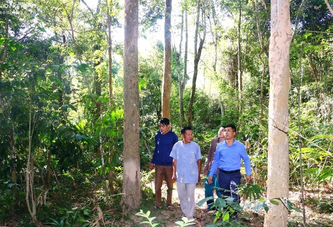 Dân bản Na Hang xem rừng đinh hương như báu vật. Ảnh: Minh Thư.