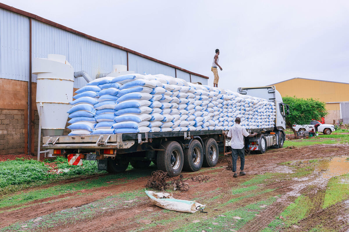 FAO and its local partners distributed more than 5,000 tonnes of sorghum and millet seeds to more than 2.7 million people in Sudan last year.