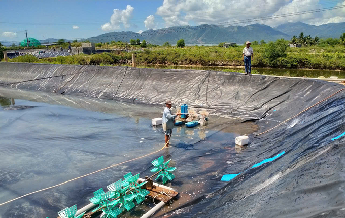 Người nuôi tập trung vệ sinh ao để bước vào vụ tôm mới. Ảnh: KS.