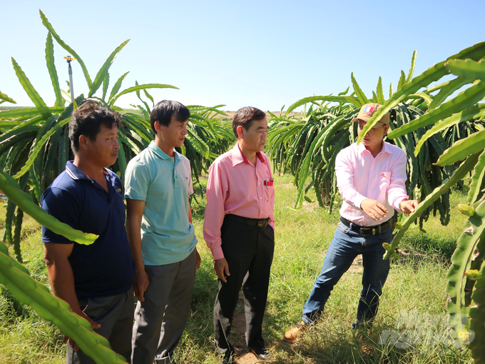 Việc áp dụng tiêu chuẩn hữu cơ, bền vững đòi hỏi đầu tư lớn từ giống, công nghệ đến các chi phí chứng nhận và duy trì tiêu chuẩn hàng năm. Ảnh: Minh Sáng.