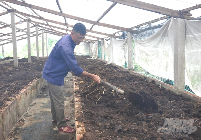 Toàn bộ phân bò được anh Giang thu gom để nuôi trùn quế, trùn thịt làm thức ăn chăn nuôi, phân trùn quế dùng bón cho cây trồng và bán. Ảnh: Trung Chánh.