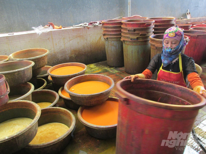 Công đoạn lắng lọc tinh bột nghệ ở Chí Tân (Khoái Châu, Hưng Yên). Ảnh: Hải Tiến.