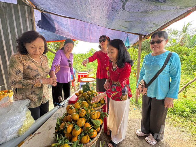 Hiện giá quýt hồng bán lẻ tại vườn, nếu du khách có nhu cầu được thoải mái lựa chọn và hái trái trên cây là 80.000 đồng/kg; còn nhà vườn tự hái, giá từ 40.000 – 50.000 đồng/kg.