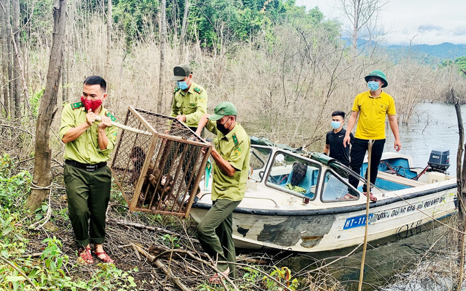 Ngoài bảo vệ rừng cần đồng thời ngăn chặn săn bắt, buôn bán động vật hoang dã. Ảnh: T.Nga