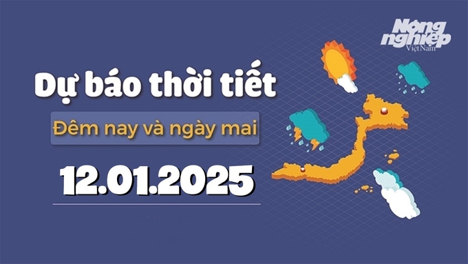 Tin tức thời tiết đêm nay và ngày mai 12/1/2025 tại các vùng trong cả nước