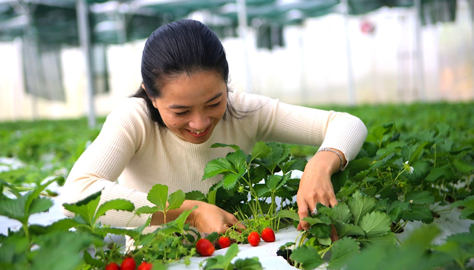 Chị Bùi Thị Khánh Hòa - Giám đốc Công ty Cổ phần Nông nghiệp sạch Đắk Nông. Ảnh: Hồng Thủy.