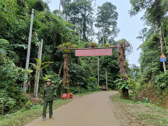 Những cánh rừng được lực lượng Kiểm lâm và người dân địa phương bảo vệ tốt trong thời gian qua. Ảnh: Thanh Tiến.