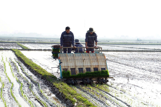 Nông dân Quảng Trị đẩy nhanh gieo cấy vụ đông xuân nhờ áp dụng cơ giới hóa vào sản xuất. Ảnh: Võ Dũng.