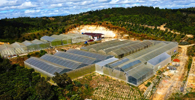 The greenhouse area of DNo Farm viewed from above. Photo: Hong Thuy.