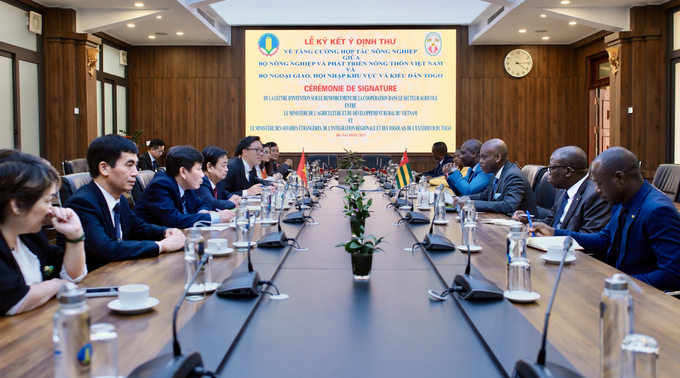 Meeting between Minister Le Minh Hoan and Professor Robert Dussey - Minister of Foreign Affairs, African Integration, and Togolese Abroad, on the afternoon of January 9. Photo: Quynh Chi. 