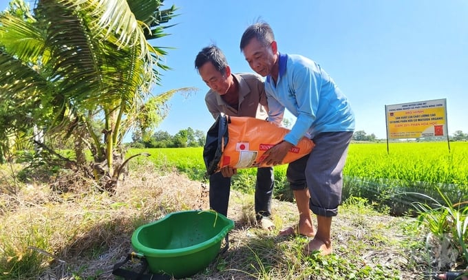 The Fertilize Right initiative aims to improve fertilizer efficiency, increase farmers' income, and reduce greenhouse gas emissions in rice cultivation. Photo: Kim Anh.