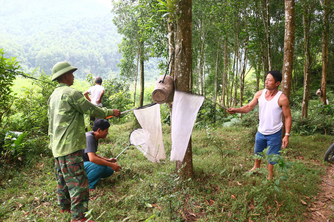 Bắt ong thăm trước cửa ống mồi đã có ong về. Ảnh: Huy Thư.