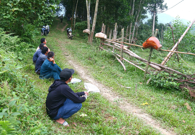 Săn ong mật giống là công việc, thú chơi khiến nhiều người say mê. Ảnh: Huy Thư.