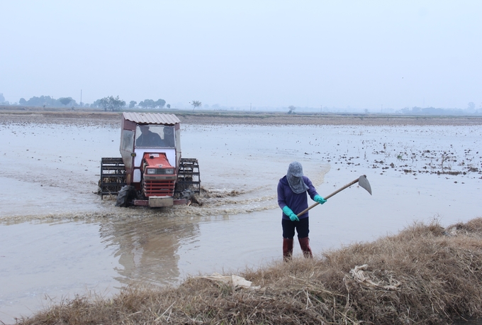 Trên khắp các cánh đồng của tỉnh Nam Định, người dân tranh thủ nguồn nước được bổ sung tích cực làm đất, sẵn sàng gieo cấy theo khung thời vụ. Ảnh: Trung Quân.