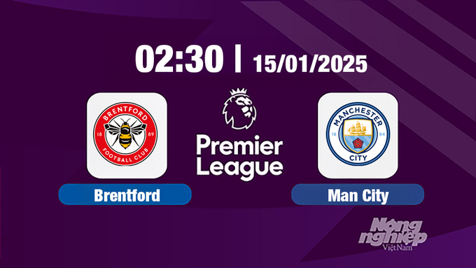 Trực tiếp bóng đá Brentford vs Man City, Ngoại hạng Anh, 02h30 hôm nay 15/1/2025