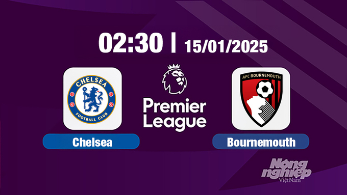 Trực tiếp bóng đá Chelsea vs Bournemouth, Ngoại hạng Anh, 02h30 hôm nay 15/12/2025