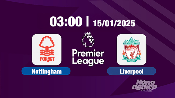 Trực tiếp bóng đá Nottingham vs Liverpool, Ngoại hạng Anh, 03h00 hôm nay 15/1/2025