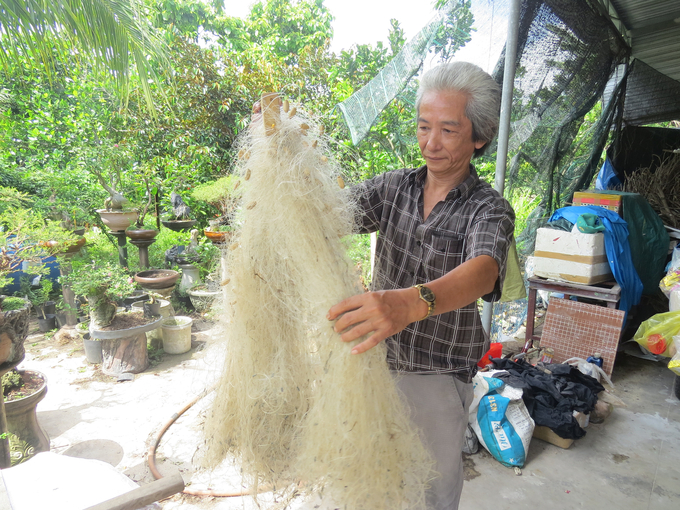 Ông Vũ Văn Sỹ kiểm tra lưới bên hiên nhà. Ảnh: Võ Thanh Kỳ.