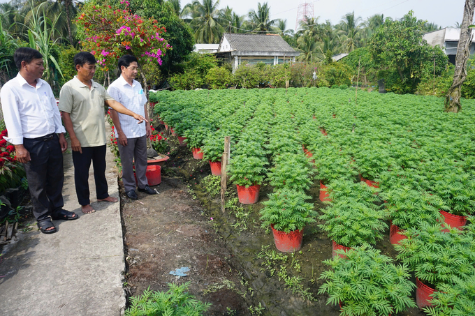 Hội Nông dân thành phố Trà Vinh đến thăm hỏi bà con trồng hoa Tết. Ảnh: Hồ Thảo.