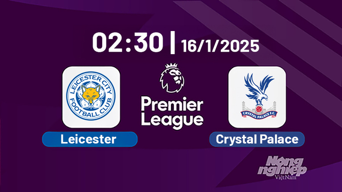 Trực tiếp bóng đá Leicester vs Crystal Palace, Ngoại hạng Anh, 02h30 hôm nay 16/1/2025