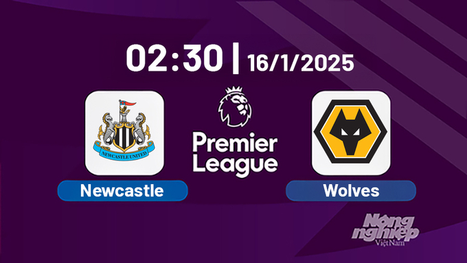 Trực tiếp bóng đá Newcastle vs Wolves, Ngoại hạng Anh, 02h30 hôm nay 15/12/2025