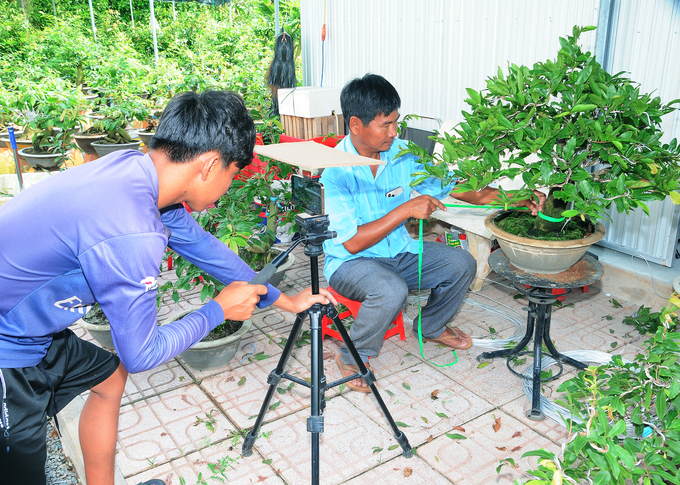 Ông Nguyễn Duy Ninh giới thiệu sản phẩm mai vàng qua mạng xã hội. Ảnh: Minh Đảm.