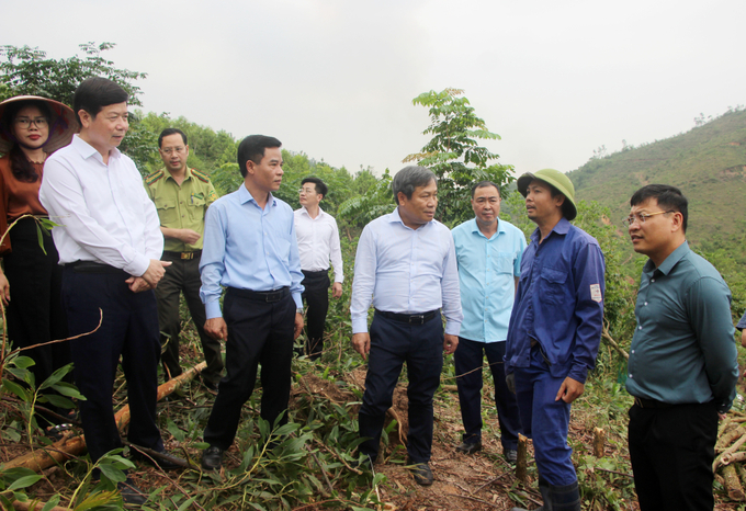 Ông Vũ Đại Thắng, Bí thư Tỉnh ủy, thăm hỏi, động viên hộ gia đình ở huyện Ba Chẽ có diện tích đất rừng bị thiệt hại do bão số 3. Ảnh: Mạnh Trường.