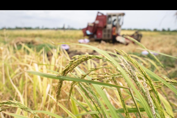 The report tracks 50 food systems indicators across the world, organized into five themes: 1) diets, nutrition, and health; 2) environment, natural resources, and production; 3) livelihoods, poverty, and equity; 4) resilience; and 5) governance.