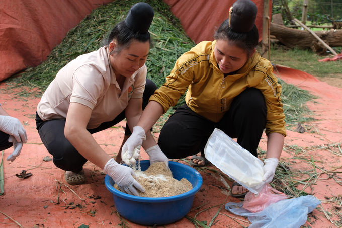 Farmers of Thai ethnicity in Vietnam was introduced to organic composting techniques as part of ASSET project. Photo: Quynh Chi.