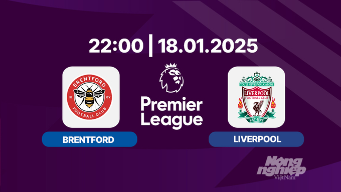 Trực tiếp bóng đá Brentford vs Liverpool, Ngoại hạng Anh, 22h00 hôm nay 18/1/2025