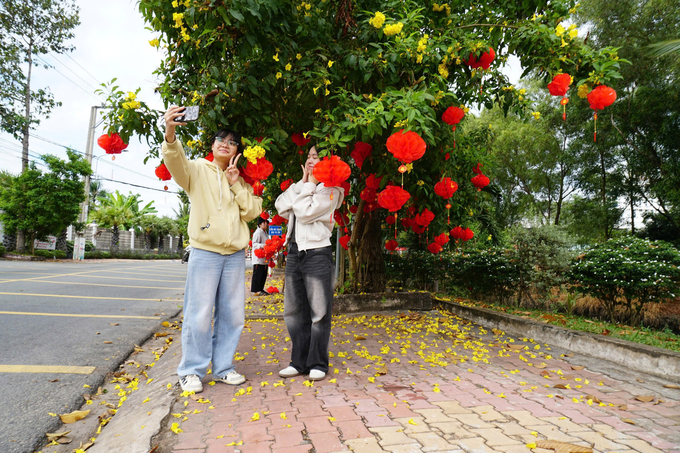 Các bạn trẻ thích thú chụp ảnh trên đường Hồ Văn Cống. Ảnh: Trần Trung.