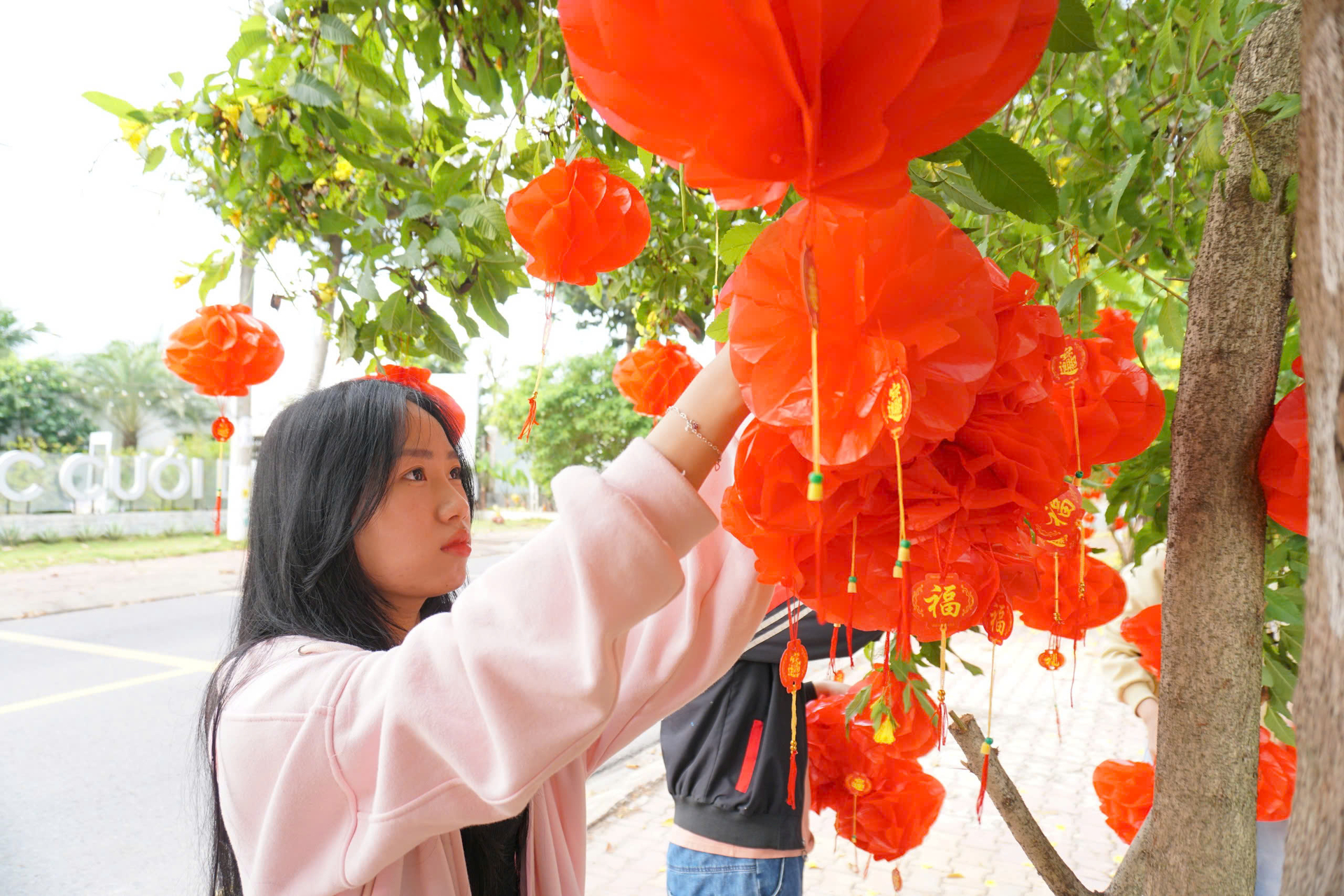 Hoàng yến rực rỡ sắc vàng, xen lẫn sắc đỏ tươi của những chiếc lồng đèn không chỉ làm say lòng người qua đường. Ảnh: Trần Trung.